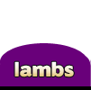 Lambs