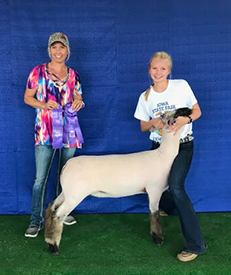 Titus Club Lambs Winners