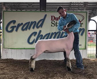 TitusCLub Lambs Winners