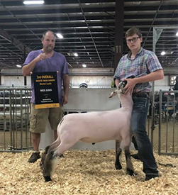 TitusCLub Lambs Winners