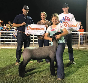 TitusCLub Lambs Winners
