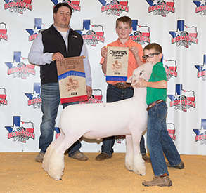 Titus Club Lambs Winners