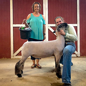 Titus Club Lambs Winners