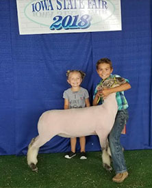 Titus Club Lambs Winners