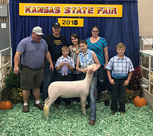 Titus Club Lambs Winners