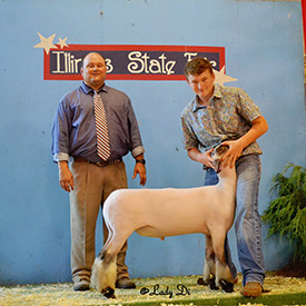Titus Club Lambs Winners