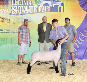 Titus Club Lambs Winners