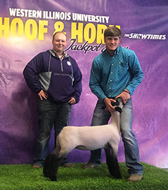 Titus Club Lambs Winners