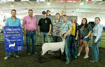 titus Club Lambs Winners