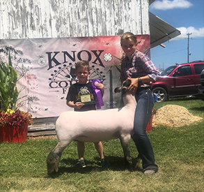 titus Club Lambs Winners