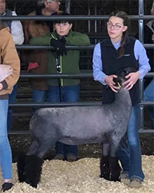 Titus Club Lambs Winners