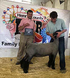 titus Club Lambs Winners