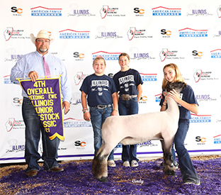 Titus Club Lambs Winners