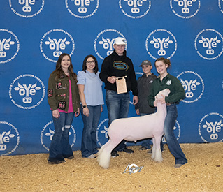 Titus Club Lambs Winners
