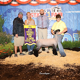 Titus Club Lambs Winners