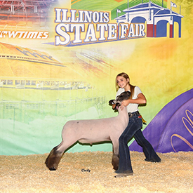 Titus Club Lambs Winners