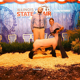 Titus Club Lambs Winners