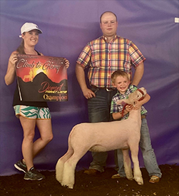 Titus Club Lambs Winners