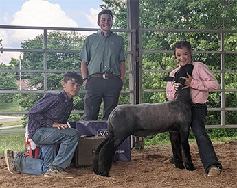 Titus Club Lambs Winners