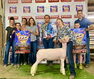 Titus Club Lambs Winners